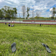 Image for article titled This Is What It's Like To Attend An IMSA Race During A Pandemic